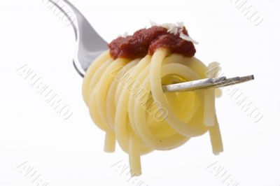 spaghetti