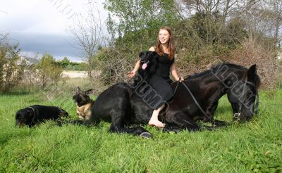 horse laid down, dogs, and teen