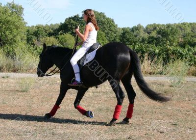 dressage