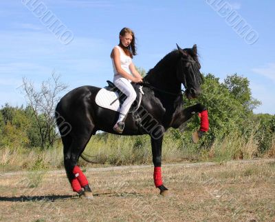 dressage