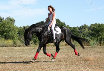 dressage