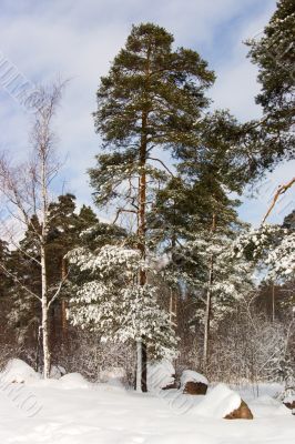 Clear day after a blizzard