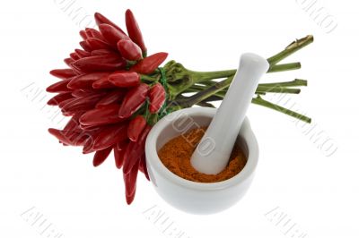 Chili pepper with chili pepper powder