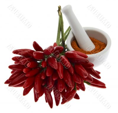 Chili pepper with chili pepper powder