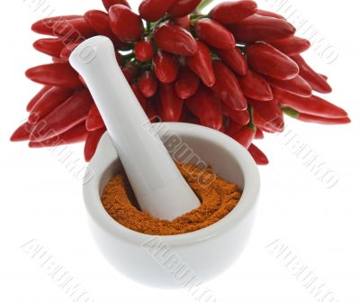 Chili pepper with chili pepper powder
