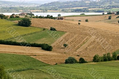 Landscape in Tuscany at summer