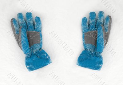 Gloves