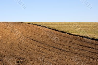 Field