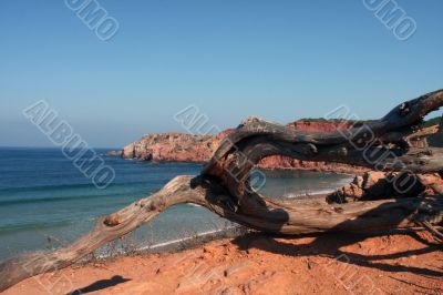 Beach on the Eastern Atlantic coast of Portugal