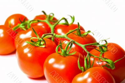 fresh tomatoes