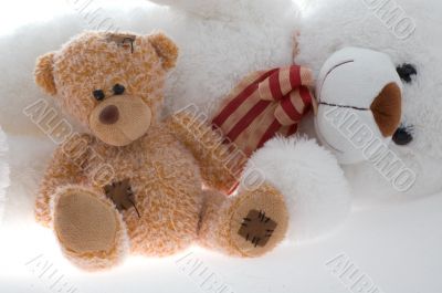 Two teddy bear
