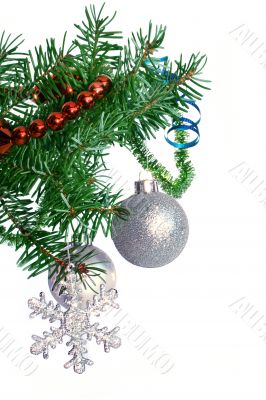 Fir tree branch with silver ball on a white background.