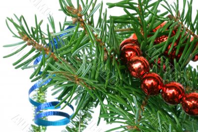 Fir tree branch with cristmas decoration on a white background.