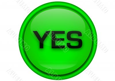 YES - button