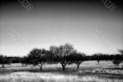 Cold WInter Landscape