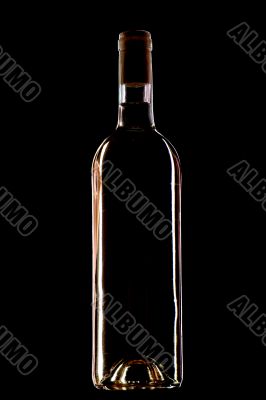 wine bottle on black