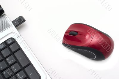 Wireless mouse