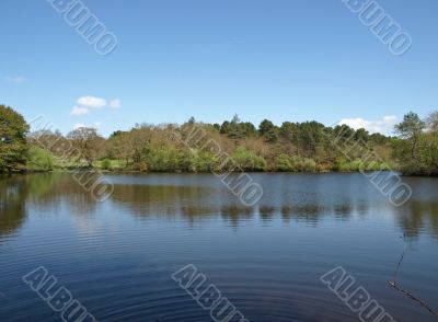 Tranquillity on the lake in a country