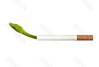 Smoking poison and viper poison