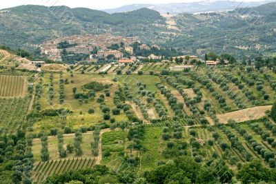 Panoramic view of Seggiano, in Tuscany