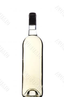 White wine glass on white