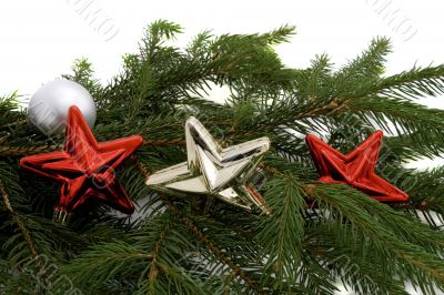 Christmas stars