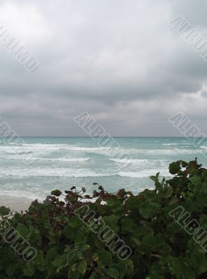 blue tropical ocean view