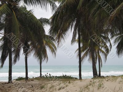 blue tropical ocean view