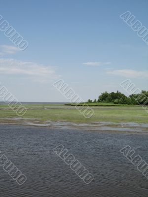 low tides ocean