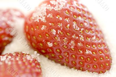 sugar strawberries