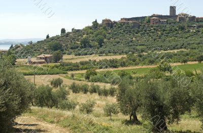 Trasimeno Lake, ancient town and olive trees