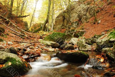Autumn Scene