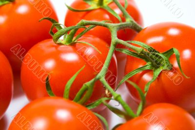 fresh tomatoes