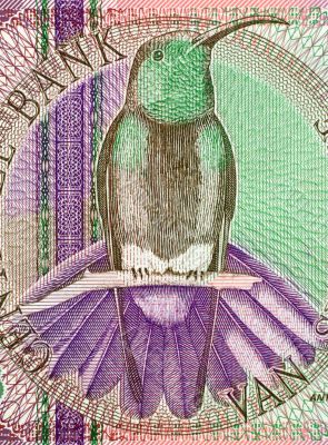 Black Throated Mango