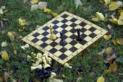Chess board on the grass