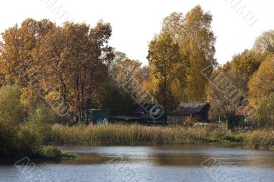 golden autumn in a rural place