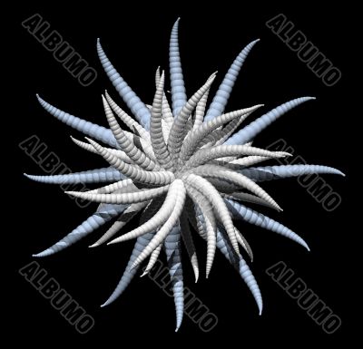 abstract star form