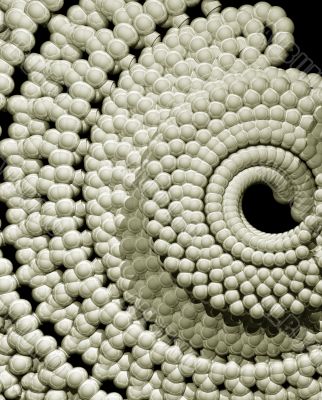 abstract snail