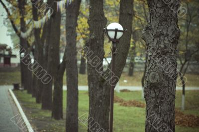 Alley in the park