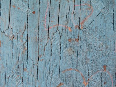 blue wood close-up