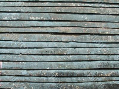 green wooden wall