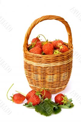 Basket with strawberry