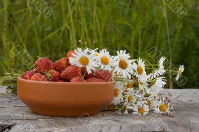 Country still life