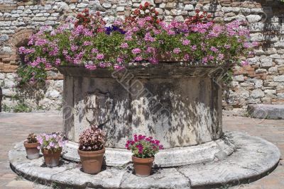 Corciano (Perugia) - Stone well with flowers