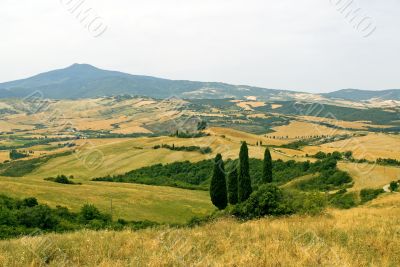Landscape in Val d`Orcia (Tuscany)