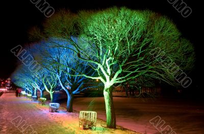 Christmas lights