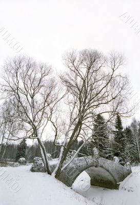 Old bridge in winter park