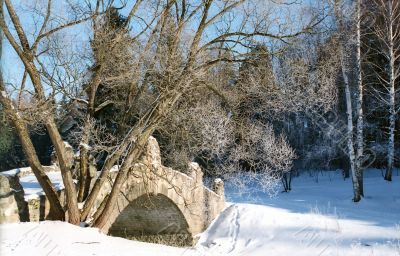 Sunny winter day
