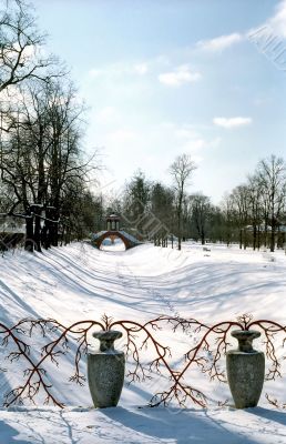 Vases and red branches in winter