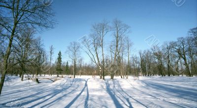  Winter landscape with shades